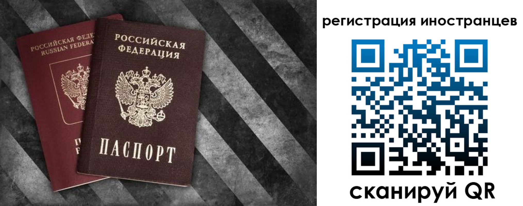 прописка для школы в Алексеевке